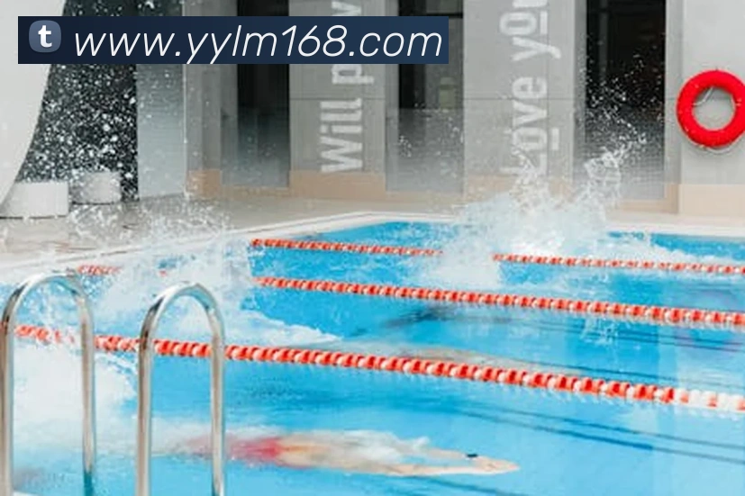 App Interface Preview