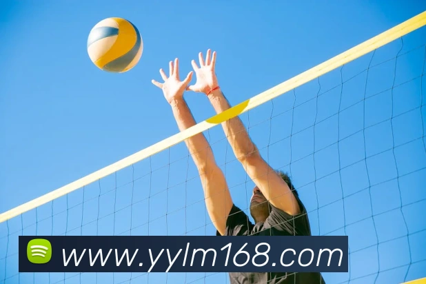 世界杯官方入口APP 封面图